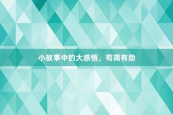 小故事中的大感悟，苟简有劲